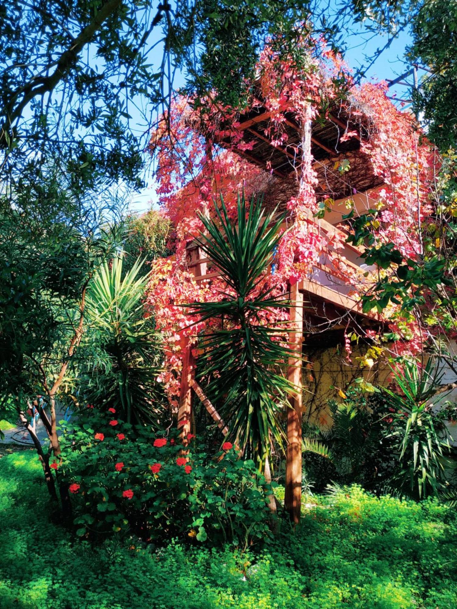 Oleander'S Garden Traditional Cretan Cottage Ferma Exterior foto