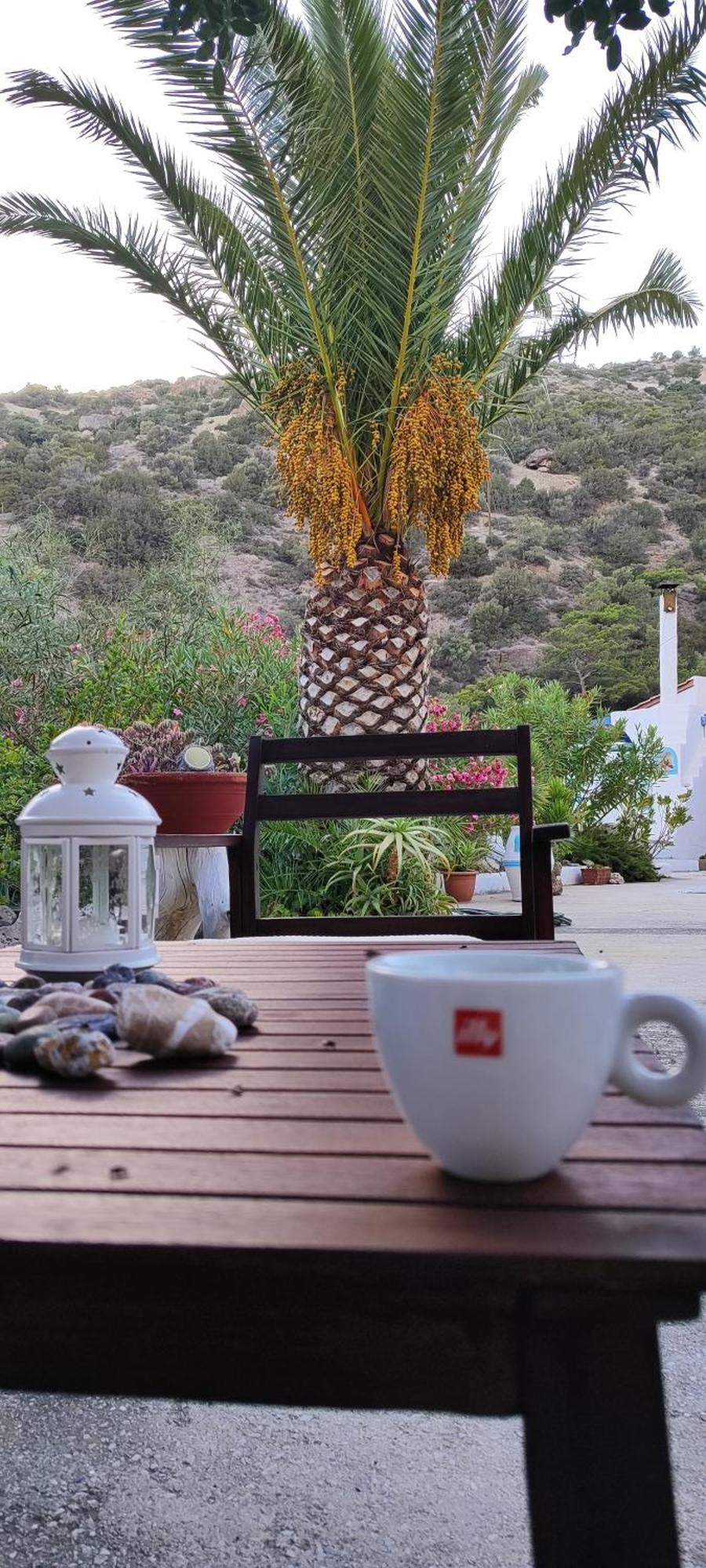 Oleander'S Garden Traditional Cretan Cottage Ferma Exterior foto